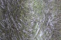 Steel fibreglass roof work